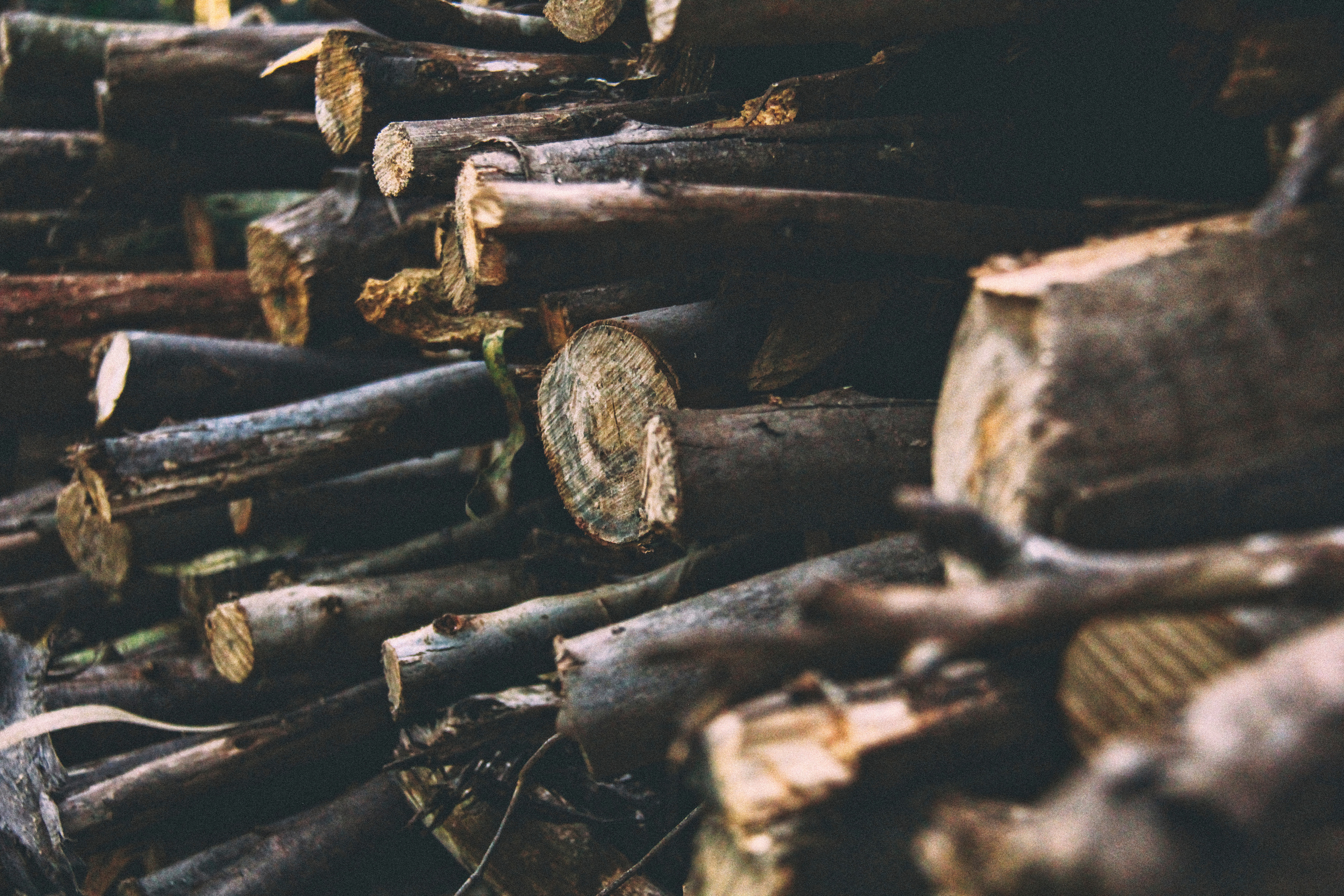 Full frame of wood